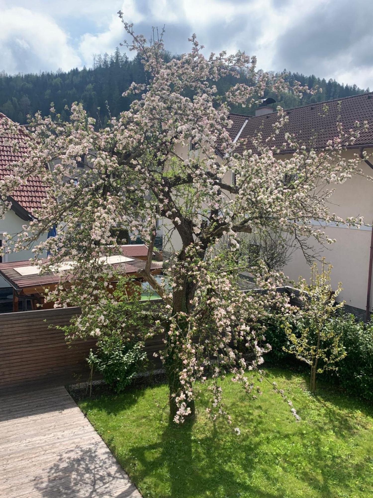 Haus Zwei Apartment Aspang Markt Luaran gambar